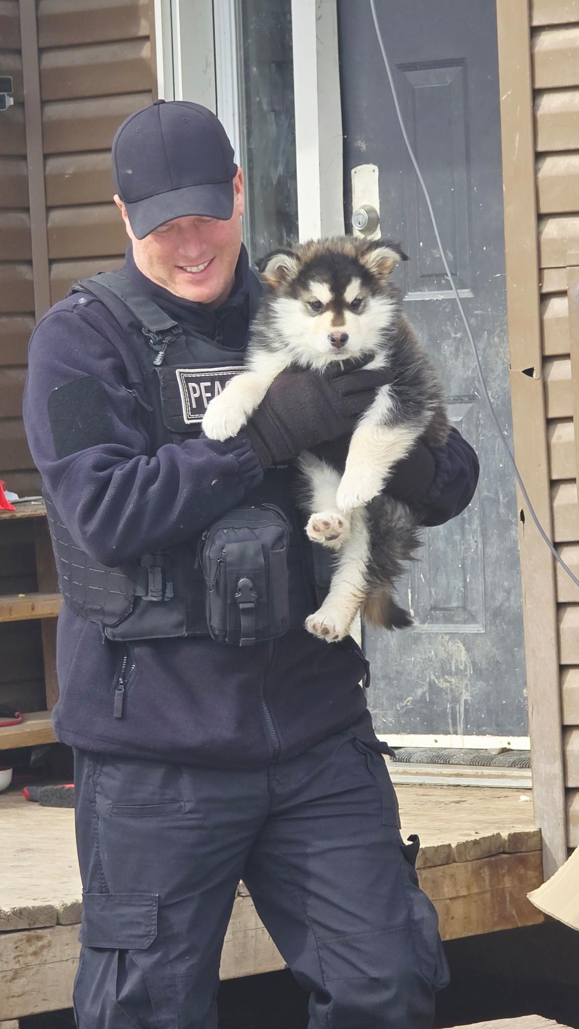 RMFC Peacekeeper reunites a puppy with its family after a community welfare check, Alexis Nakota Sioux Nation, April 2026